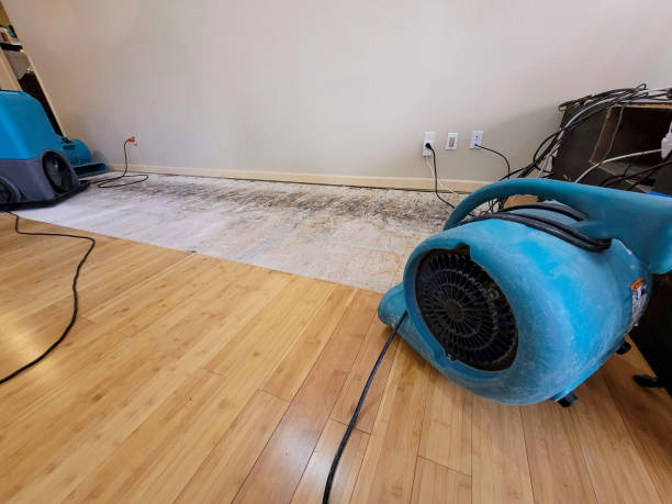 Professional Structural Drying technician working in Milan, NH